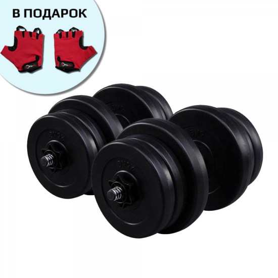 Купити Гантель  Fit-On 2 x 21 кг набірні 2010-0010 у Києві - фото №1